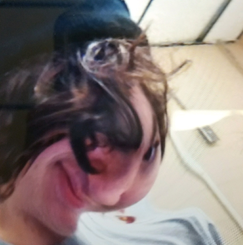 Meet your Posher, Bryce